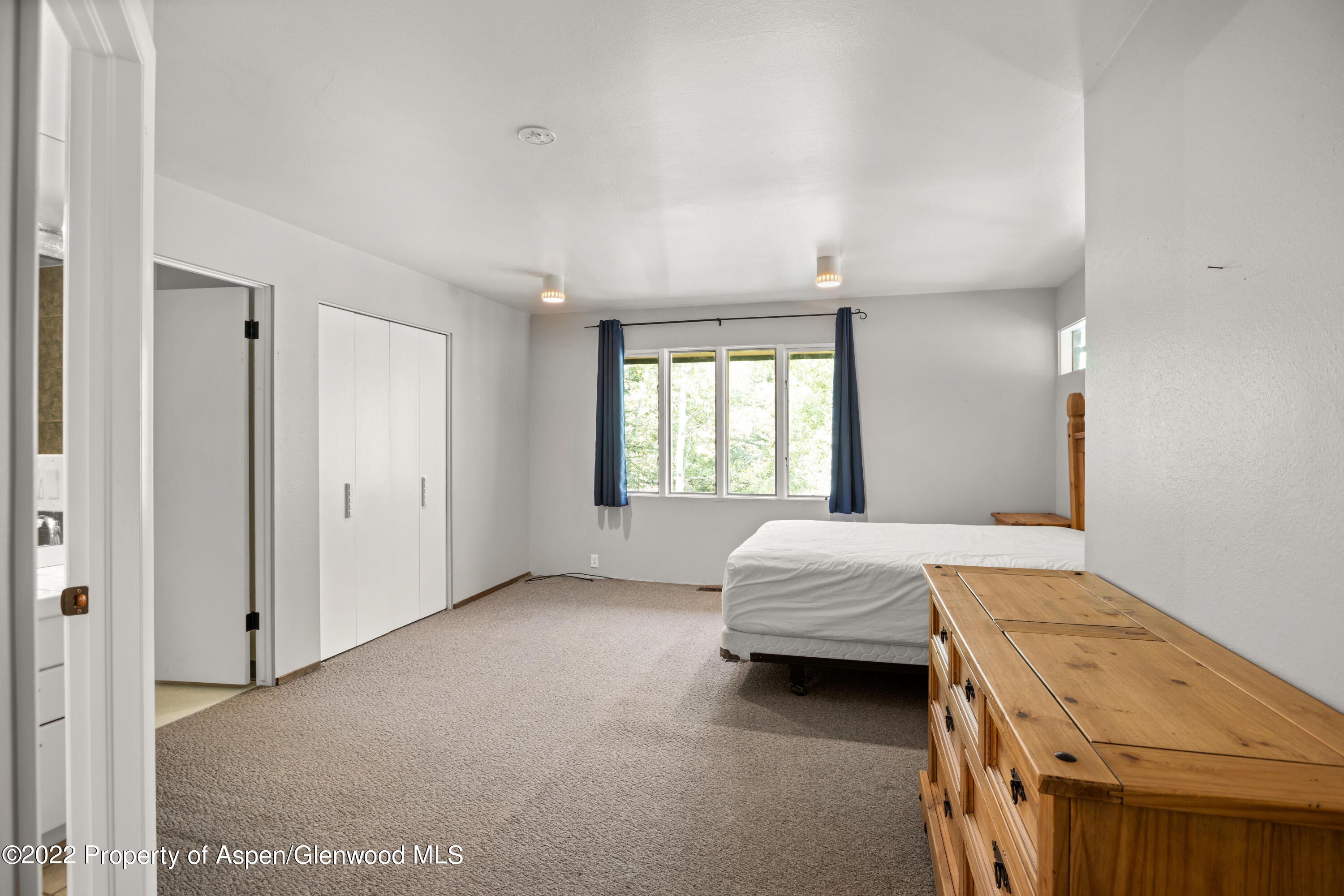 1355 Riverside Drive Aspen, CO 81611 - Photo 20 of 35 1355RiversideDr_HiRes_22090605