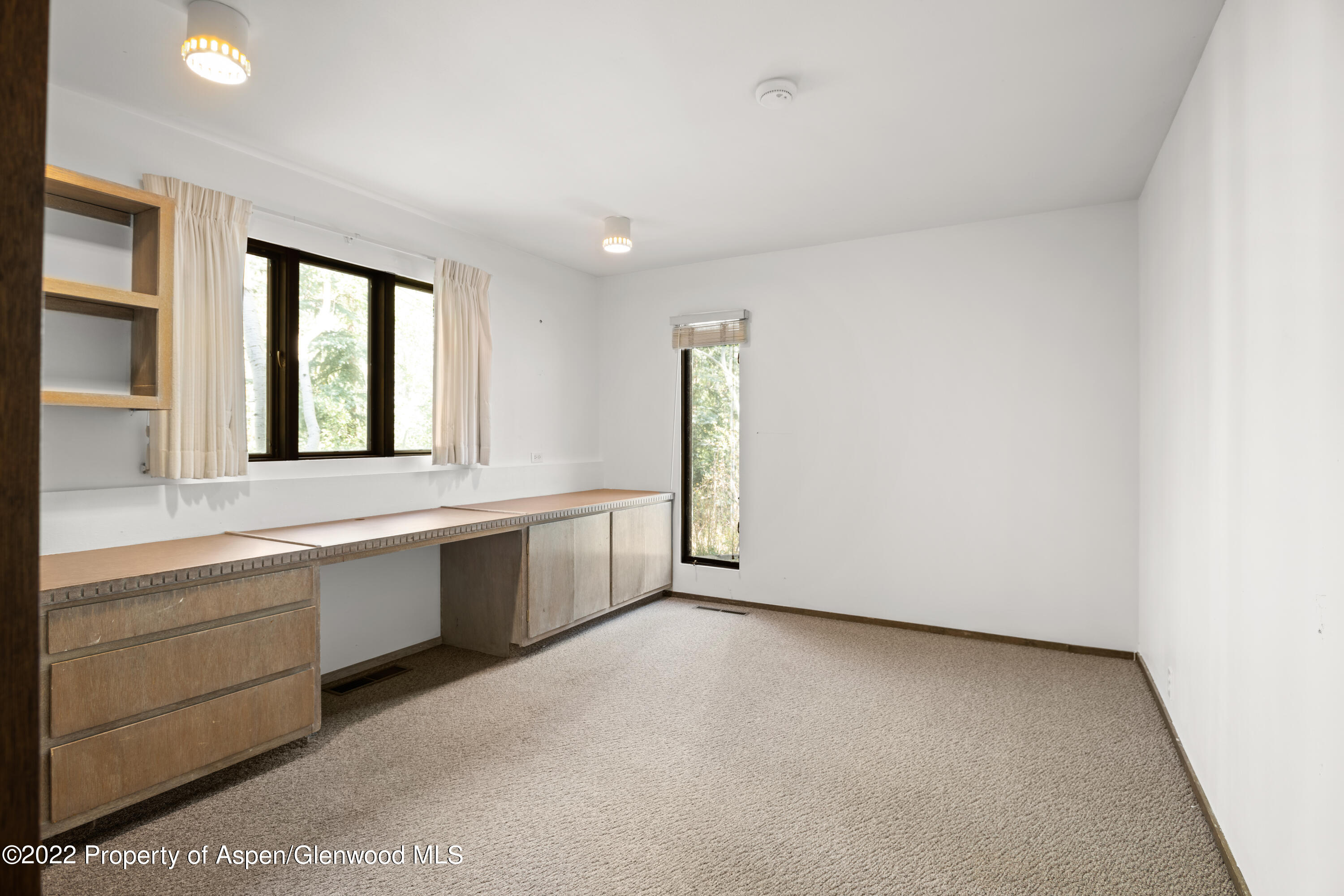 1355 Riverside Drive Aspen, CO 81611 - Photo 23 of 35 1355RiversideDr_HiRes_22090602