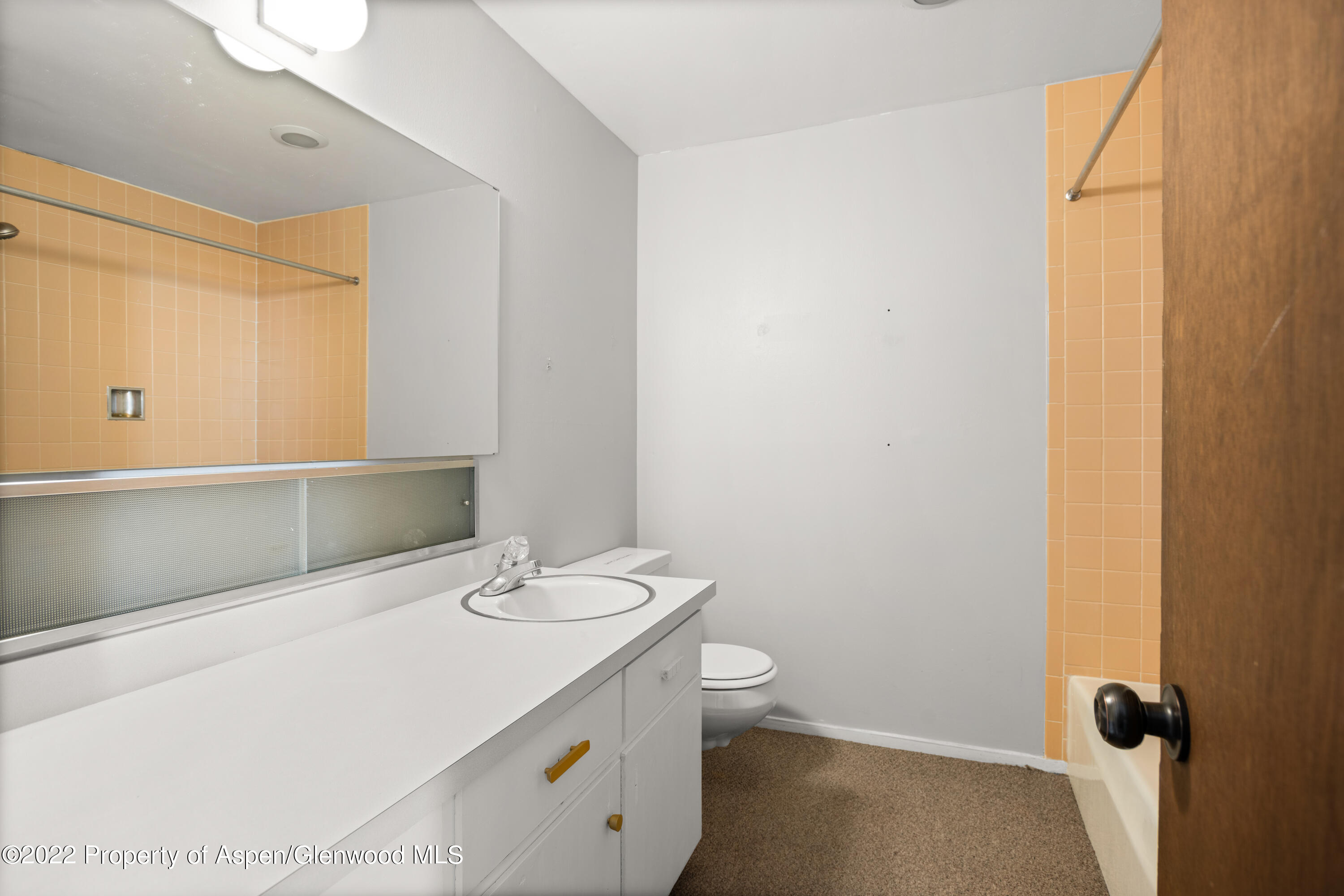 1355 Riverside Drive Aspen, CO 81611 - Photo 25 of 35 1355RiversideDr_HiRes_22090601
