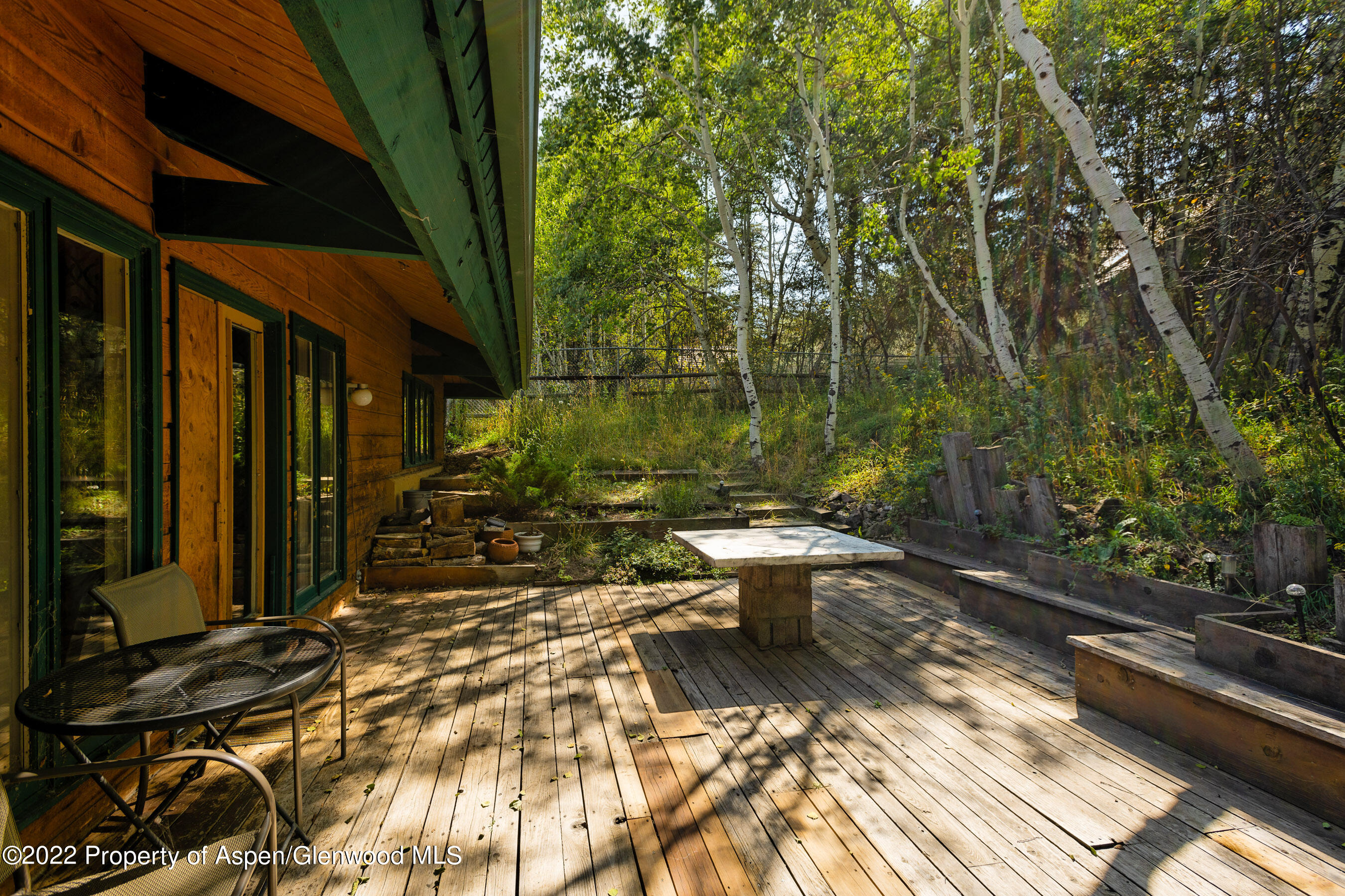 1355 Riverside Drive Aspen, CO 81611 - Photo 10 of 35 1355RiversideDr_DASH_22090616
