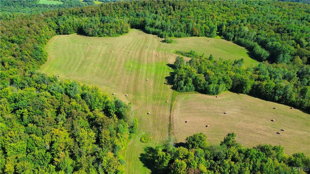 Lot 3-1 Oregon Road Mohawk, NY 13407 - Photo 2 of 10