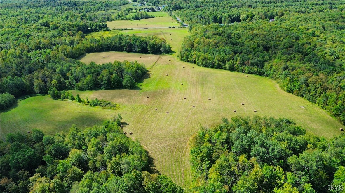 Lot 3-1 Oregon Road Mohawk, NY 13407 - Photo 9 of 10
