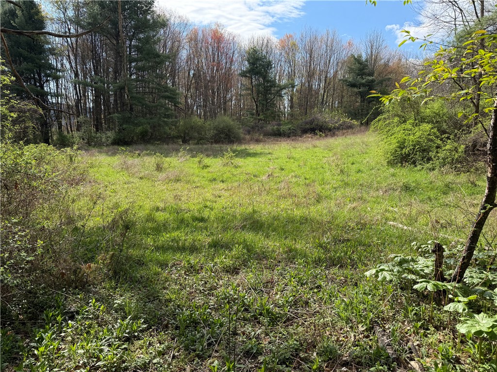 9155 Smith Road Lindley, NY 14870 - Photo 15 of 33