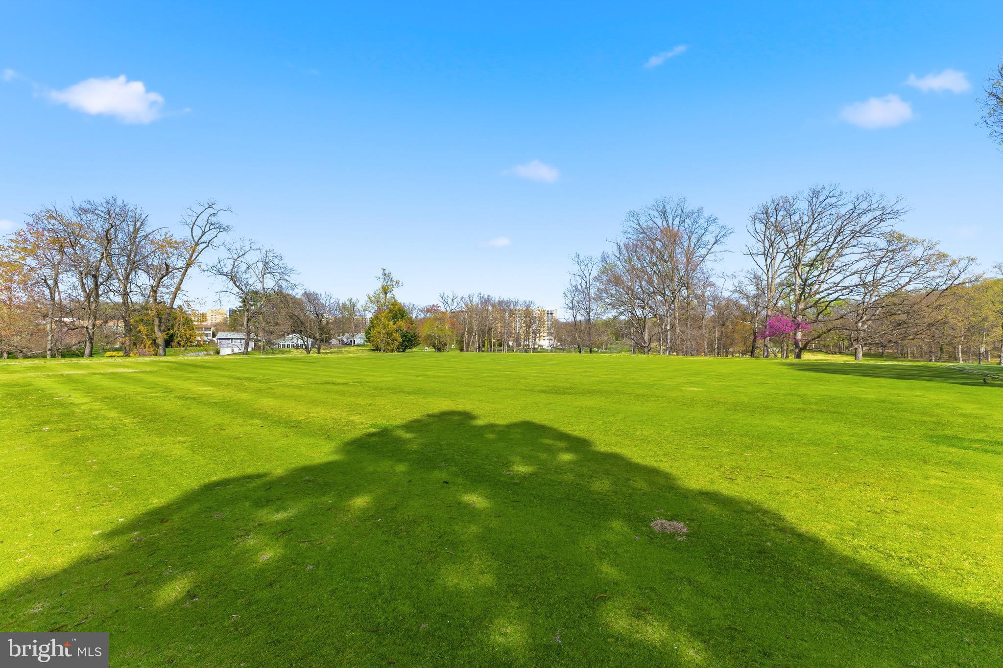 14801 Pennfield Circle, Unit 206 Silver Spring, MD 20906 - Photo 29 of 37 a view of field with trees in the background