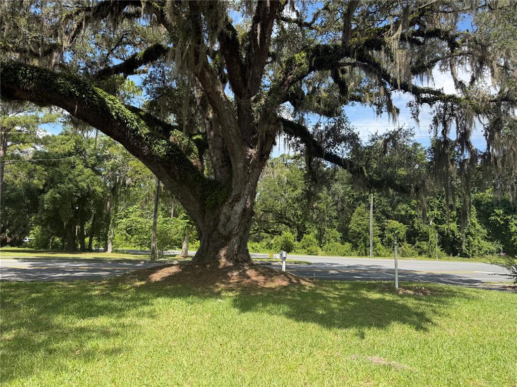 298 North Court Street Bronson, FL 32621 - Photo 22 of 23 Gallery Image 22