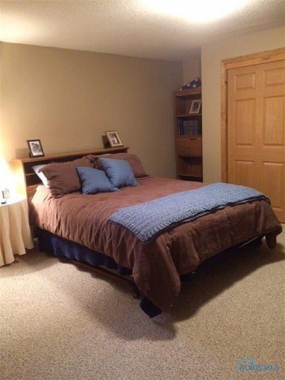 233 Townline Road Bryan, OH 43506 - Photo 14 of 17 BASEMENT BEDROOM