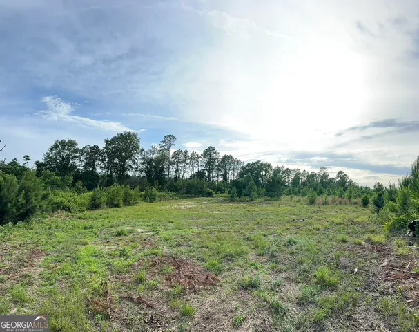 $315,000 | 0 Bennett Colter Road, Cadwell, GA 31075