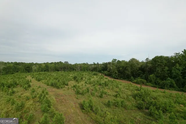 $315,000 | 0 Bennett Colter Road, Cadwell, GA 31075