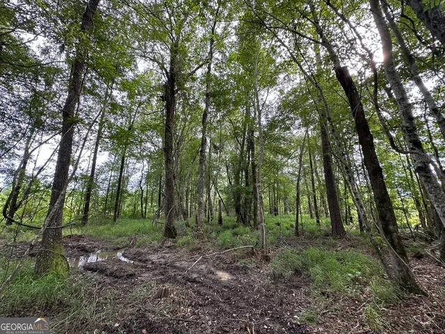 $315,000 | 0 Bennett Colter Road, Cadwell, GA 31075