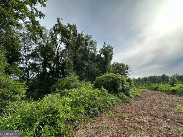 $315,000 | 0 Bennett Colter Road, Rentz, GA 31075