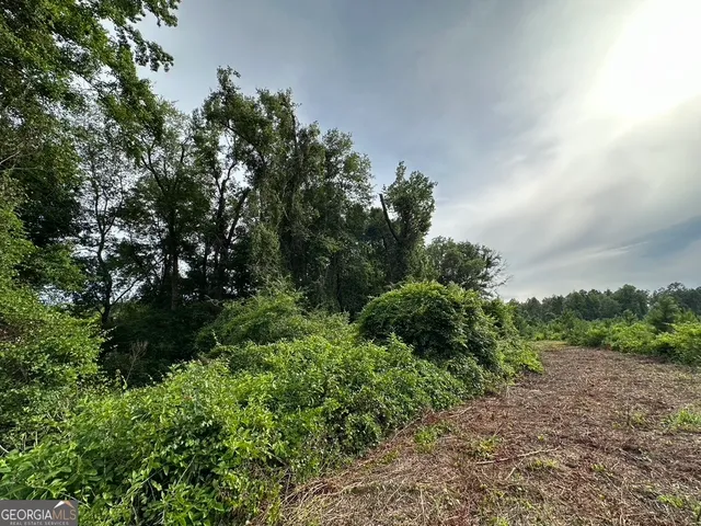 $315,000 | 0 Bennett Colter Road, Cadwell, GA 31075