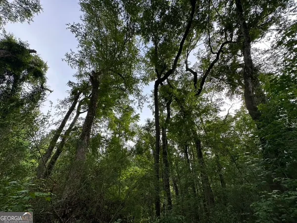 $315,000 | 0 Bennett Colter Road, Rentz, GA 31075