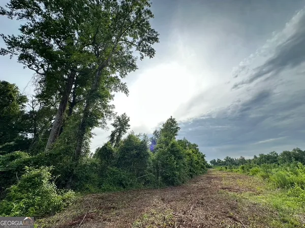 $315,000 | 0 Bennett Colter Road, Rentz, GA 31075