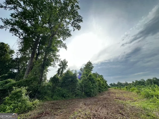 $315,000 | 0 Bennett Colter Road, Cadwell, GA 31075