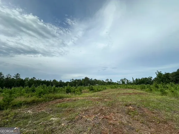 $315,000 | 0 Bennett Colter Road, Rentz, GA 31075