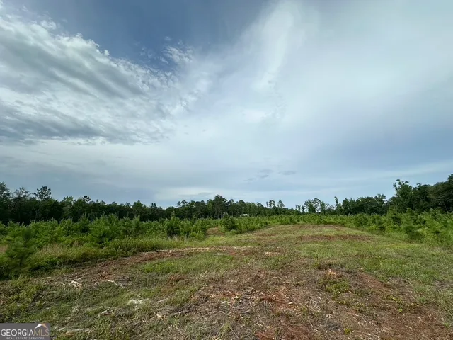 $315,000 | 0 Bennett Colter Road, Cadwell, GA 31075