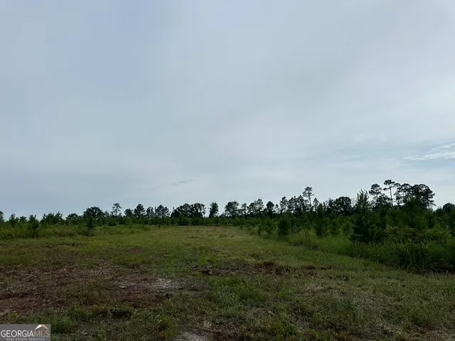 $315,000 | 0 Bennett Colter Road, Cadwell, GA 31075