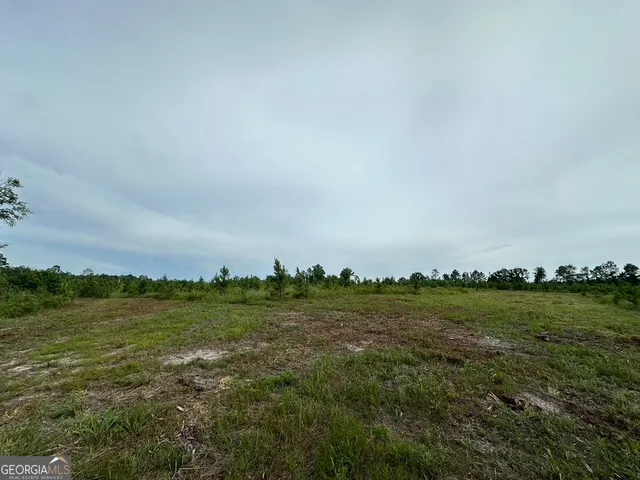 $315,000 | 0 Bennett Colter Road, Cadwell, GA 31075