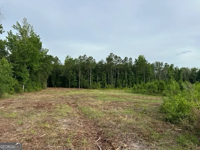 $315,000 | 0 Bennett Colter Road, Cadwell, GA 31075