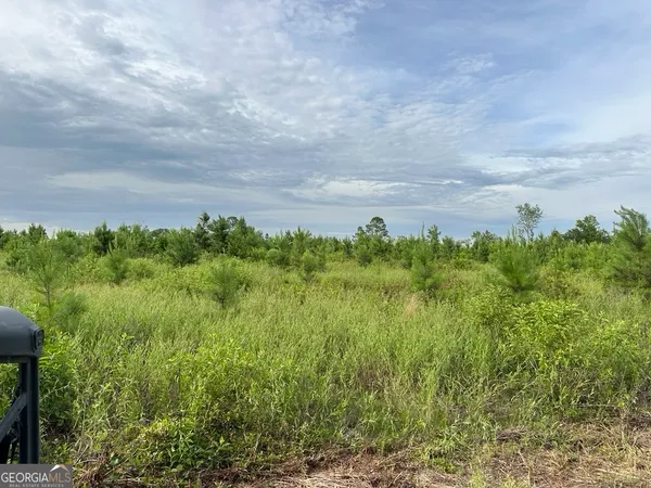 $315,000 | 0 Bennett Colter Road, Rentz, GA 31075