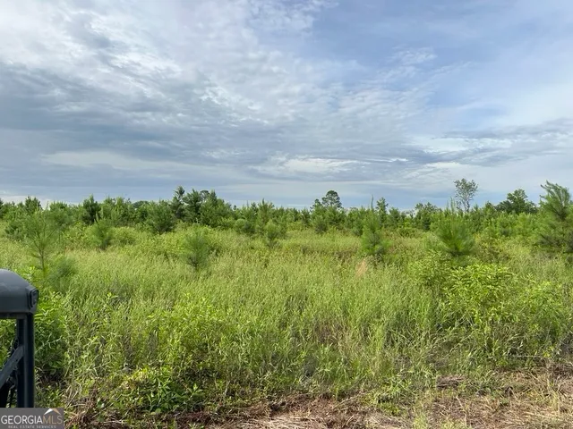 $315,000 | 0 Bennett Colter Road, Cadwell, GA 31075