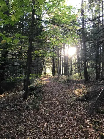 $300,000 | 3003 East Warren Road, Waitsfield, VT 05673