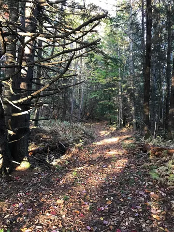 $300,000 | 3003 East Warren Road, Waitsfield, VT 05673