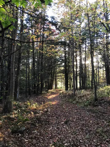 $300,000 | 3003 East Warren Road, Waitsfield, VT 05673