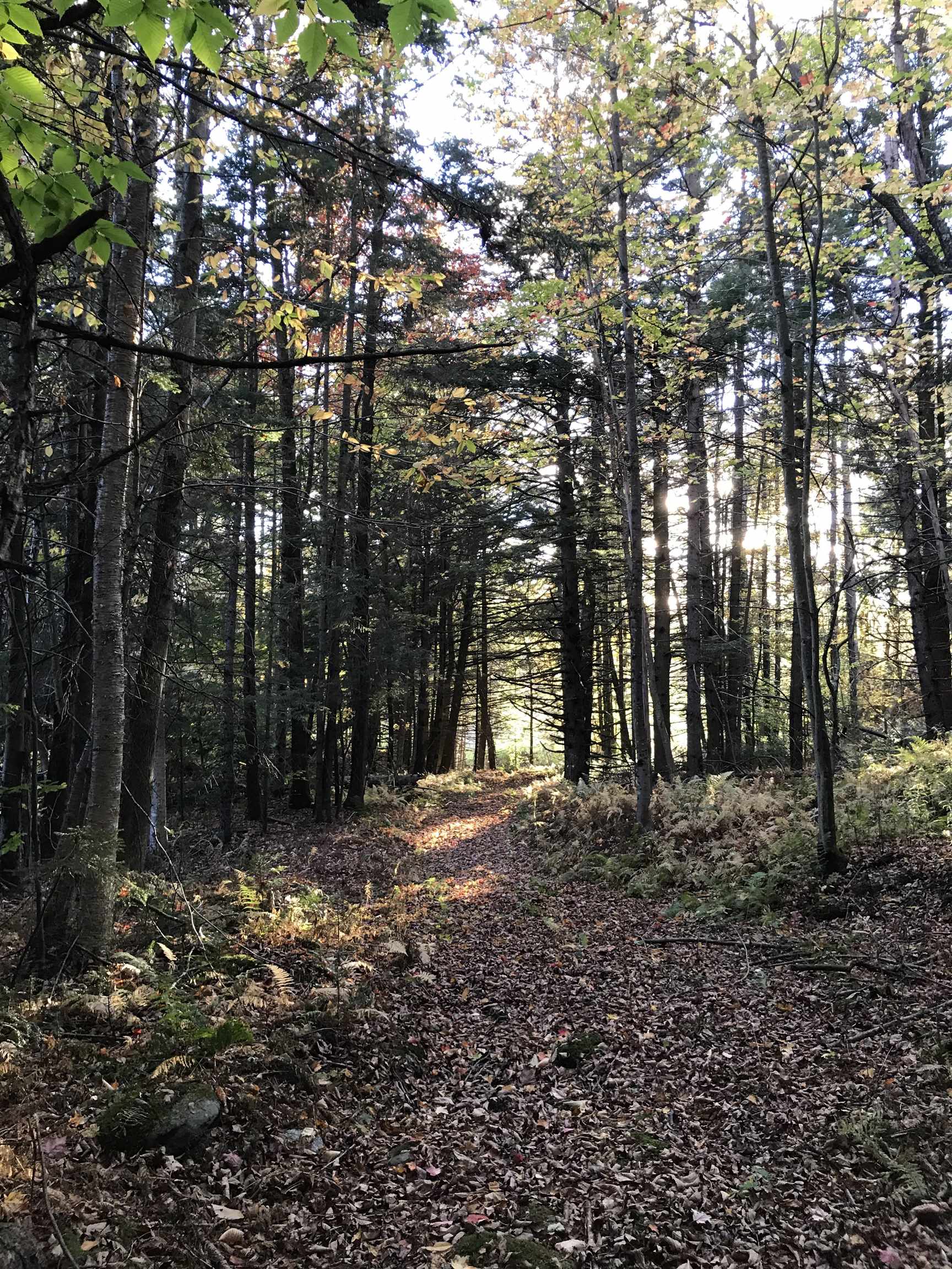 3003 East Warren Road Waitsfield, VT 05673 - Photo 13 of 33