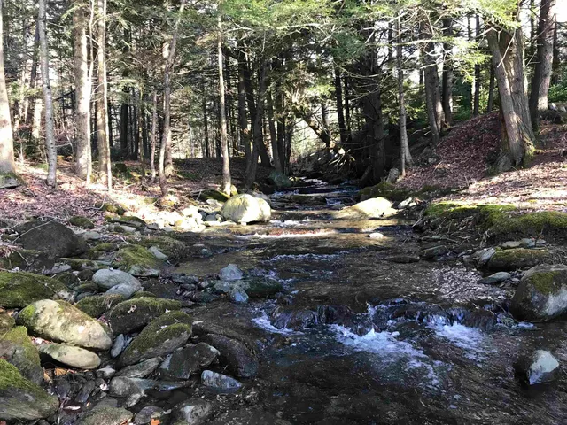 $300,000 | 3003 East Warren Road, Waitsfield, VT 05673