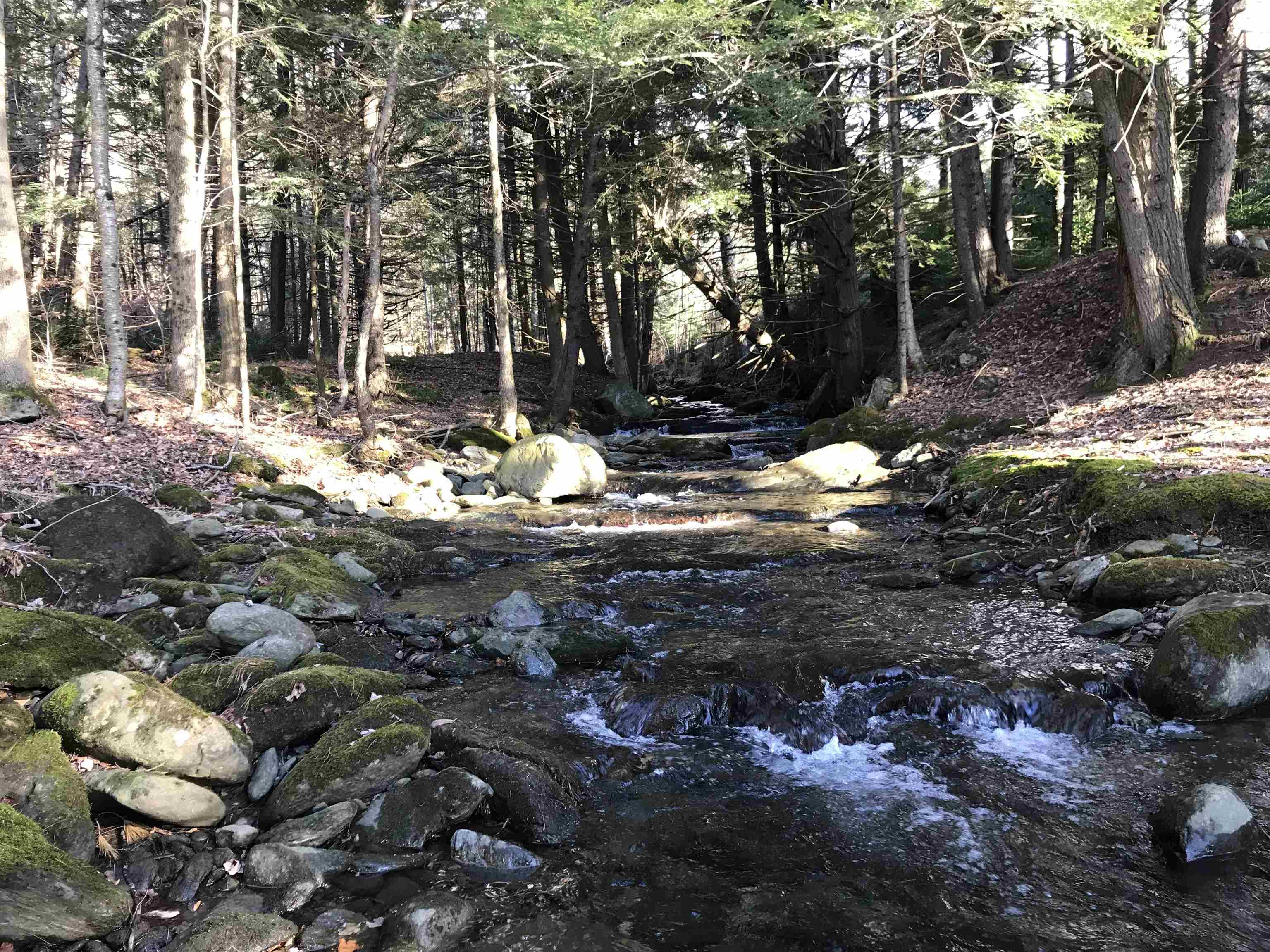 3003 East Warren Road Waitsfield, VT 05673 - Photo 17 of 33