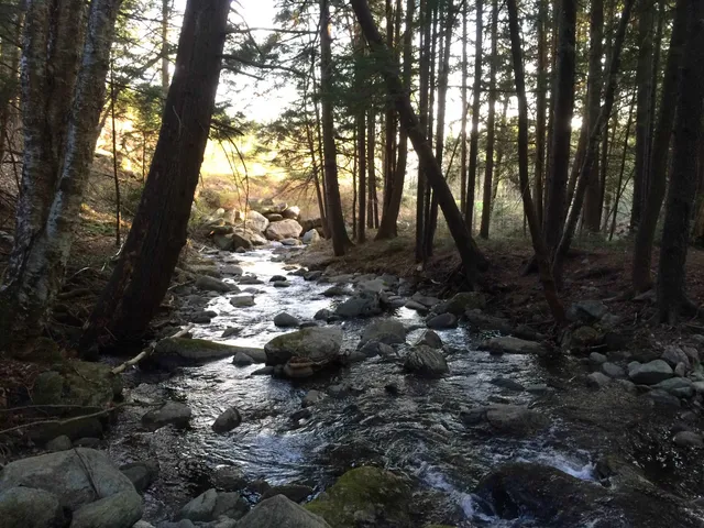 $300,000 | 3003 East Warren Road, Waitsfield, VT 05673