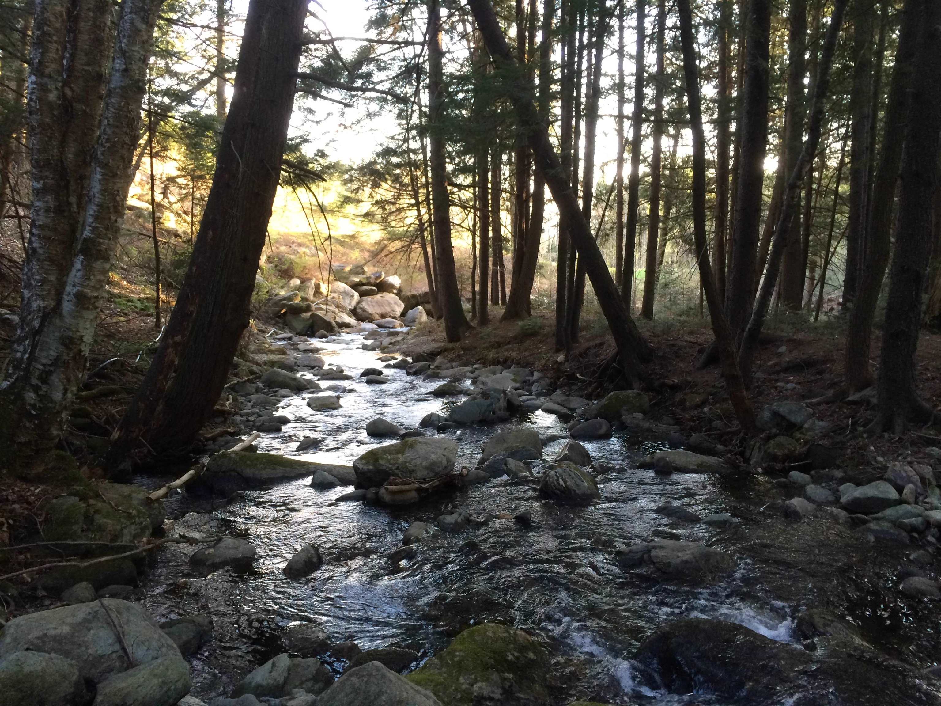 3003 East Warren Road Waitsfield, VT 05673 - Photo 18 of 33