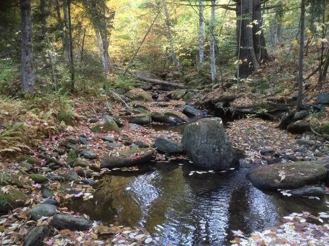 $300,000 | 3003 East Warren Road, Waitsfield, VT 05673