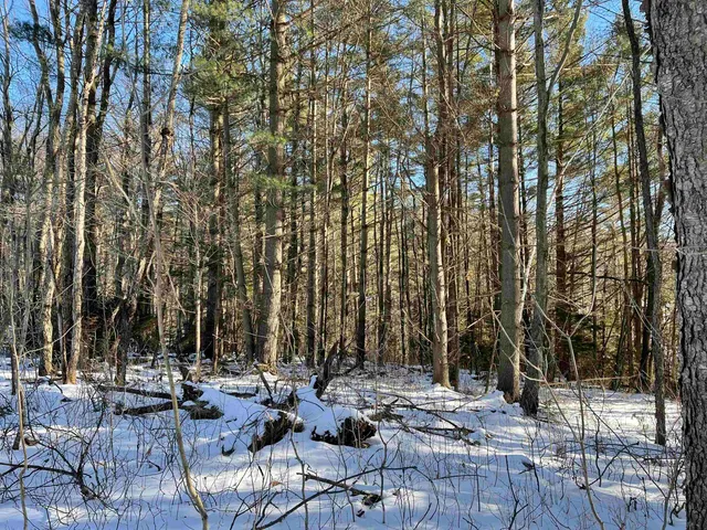 $300,000 | 3003 East Warren Road, Waitsfield, VT 05673