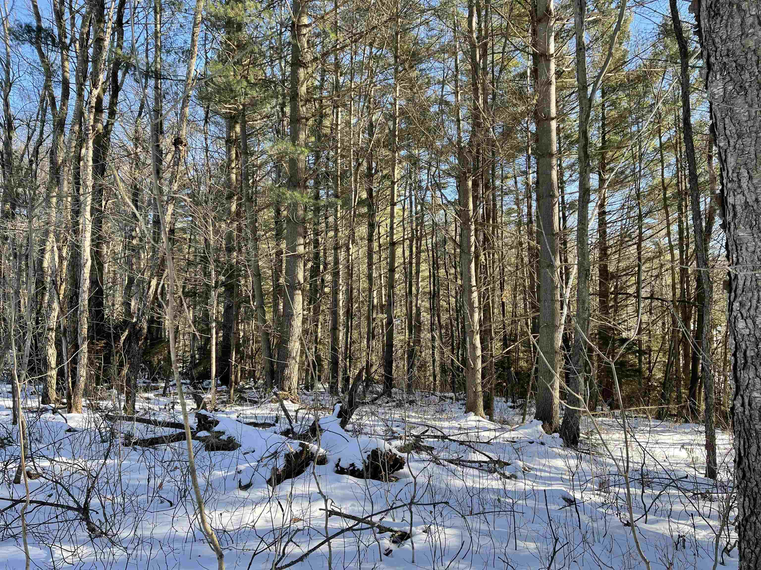 3003 East Warren Road Waitsfield, VT 05673 - Photo 23 of 33