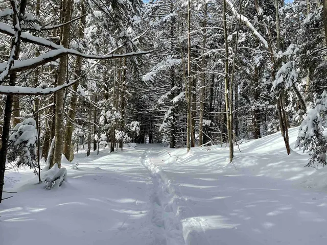 $300,000 | 3003 East Warren Road, Waitsfield, VT 05673