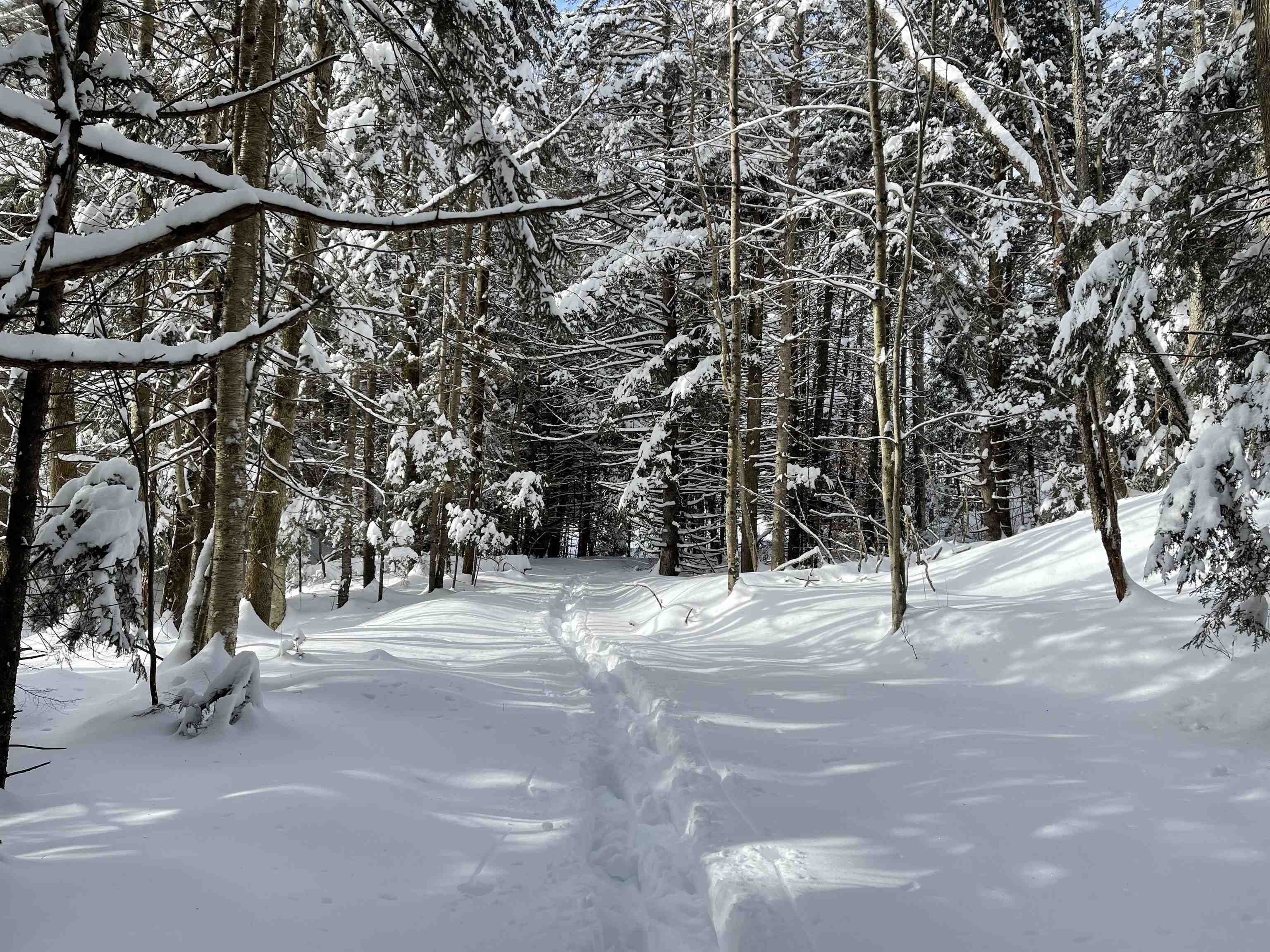 3003 East Warren Road Waitsfield, VT 05673 - Photo 25 of 33