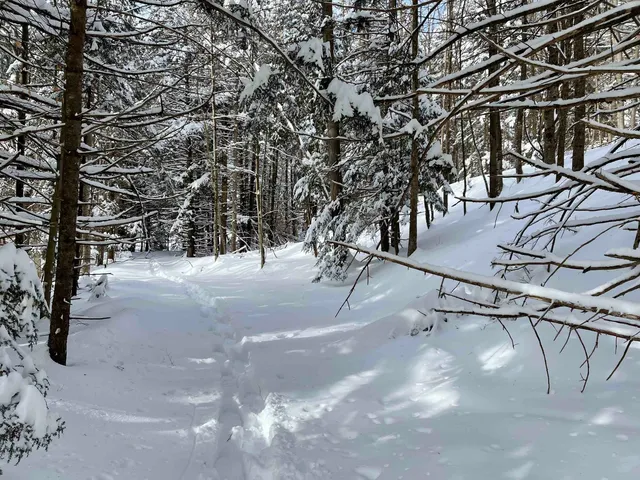 $300,000 | 3003 East Warren Road, Waitsfield, VT 05673