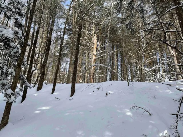 $300,000 | 3003 East Warren Road, Waitsfield, VT 05673