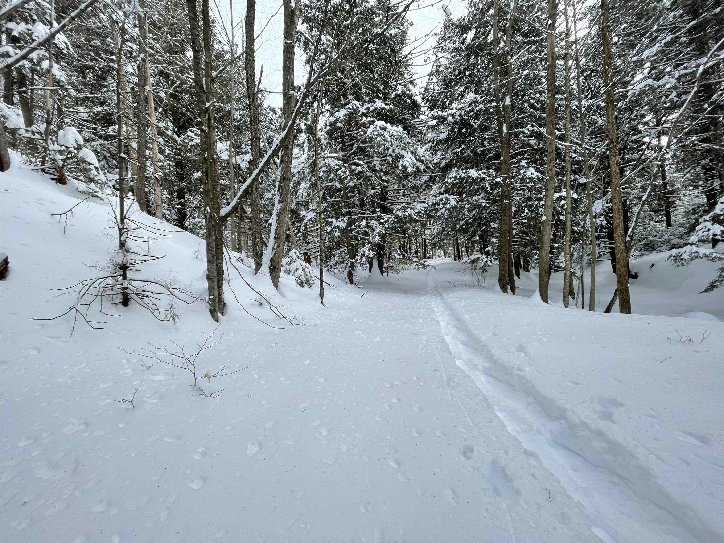 3003 East Warren Road Waitsfield, VT 05673 - Photo 28 of 33