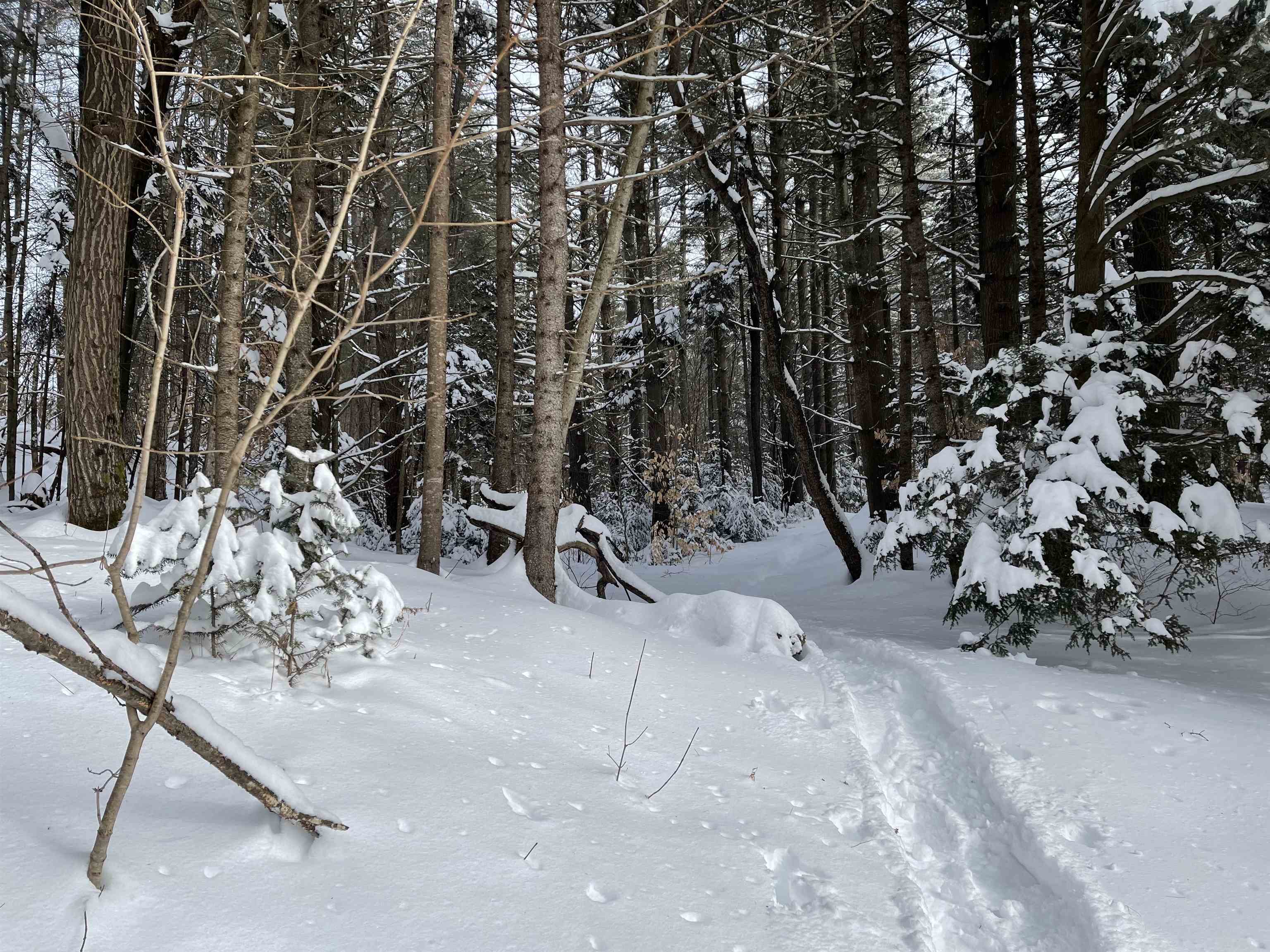 3003 East Warren Road Waitsfield, VT 05673 - Photo 29 of 33