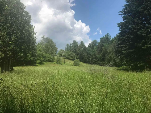 $300,000 | 3003 East Warren Road, Waitsfield, VT 05673