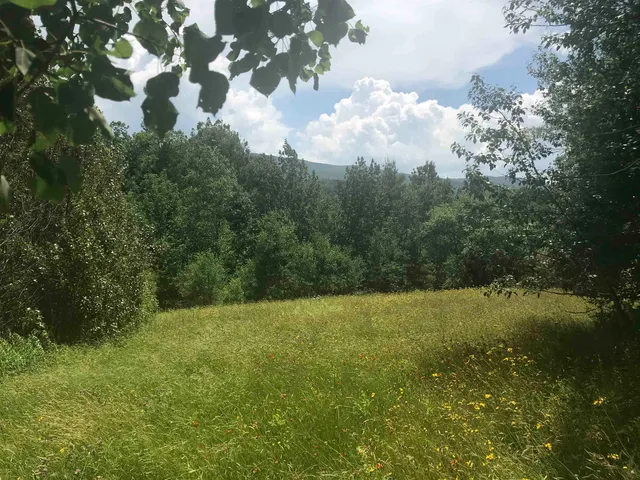 $300,000 | 3003 East Warren Road, Waitsfield, VT 05673