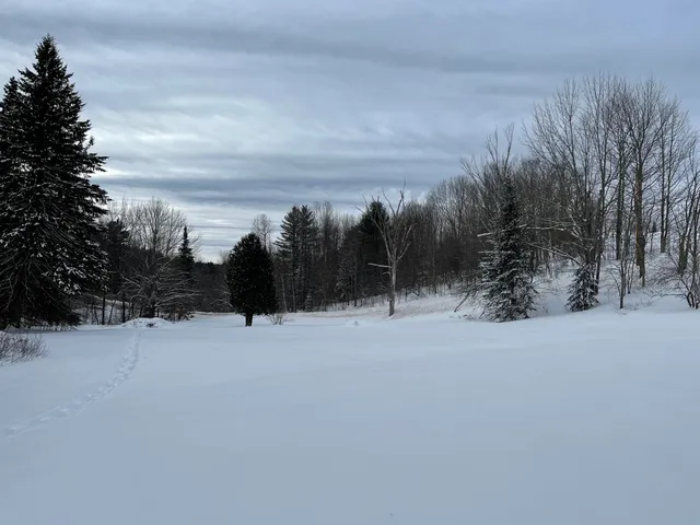 $300,000 | 3003 East Warren Road, Waitsfield, VT 05673