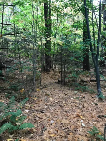 $300,000 | 3003 East Warren Road, Waitsfield, VT 05673