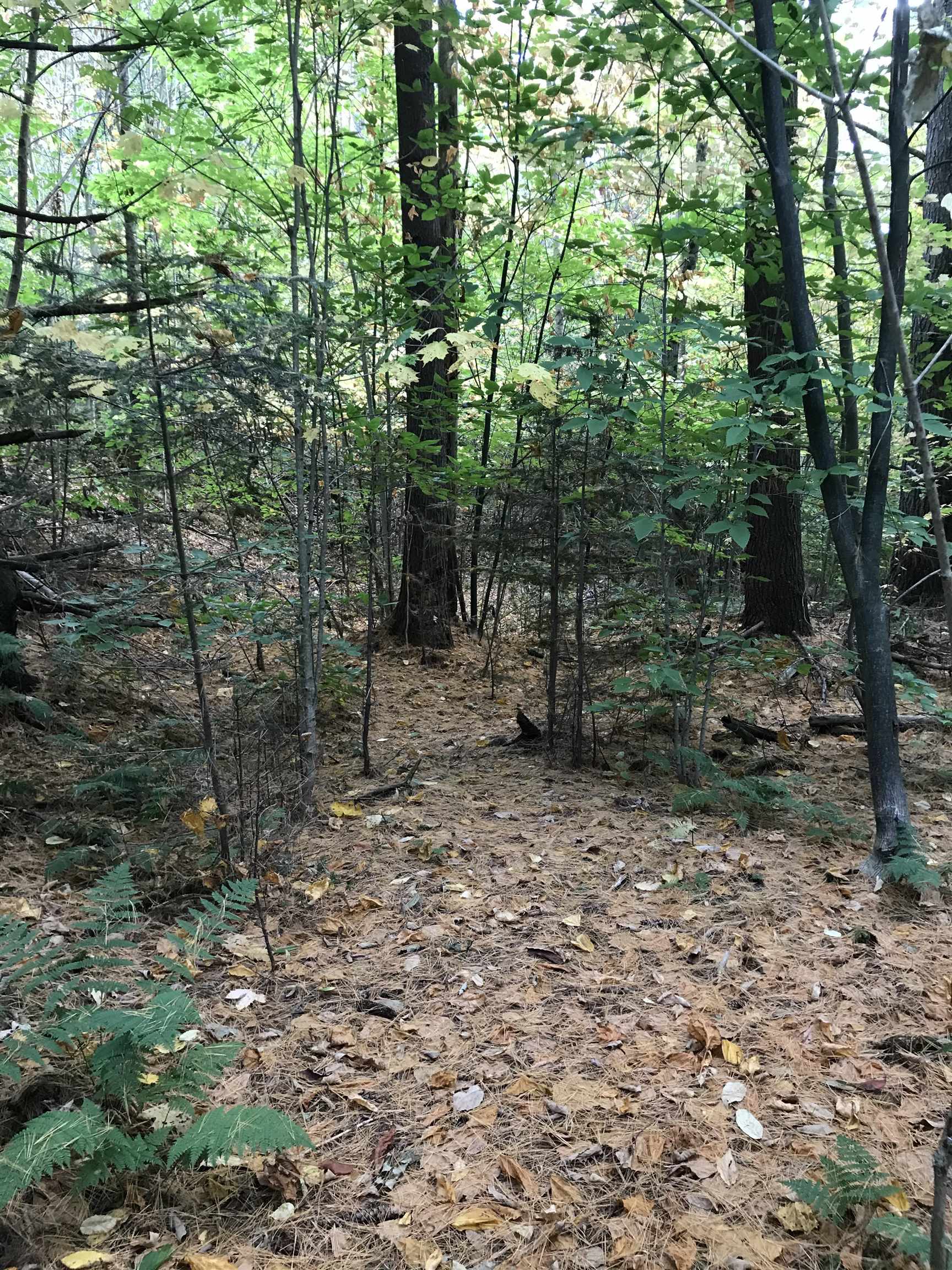 3003 East Warren Road Waitsfield, VT 05673 - Photo 5 of 33