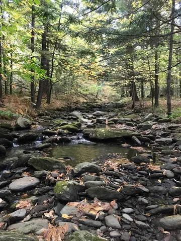 $300,000 | 3003 East Warren Road, Waitsfield, VT 05673