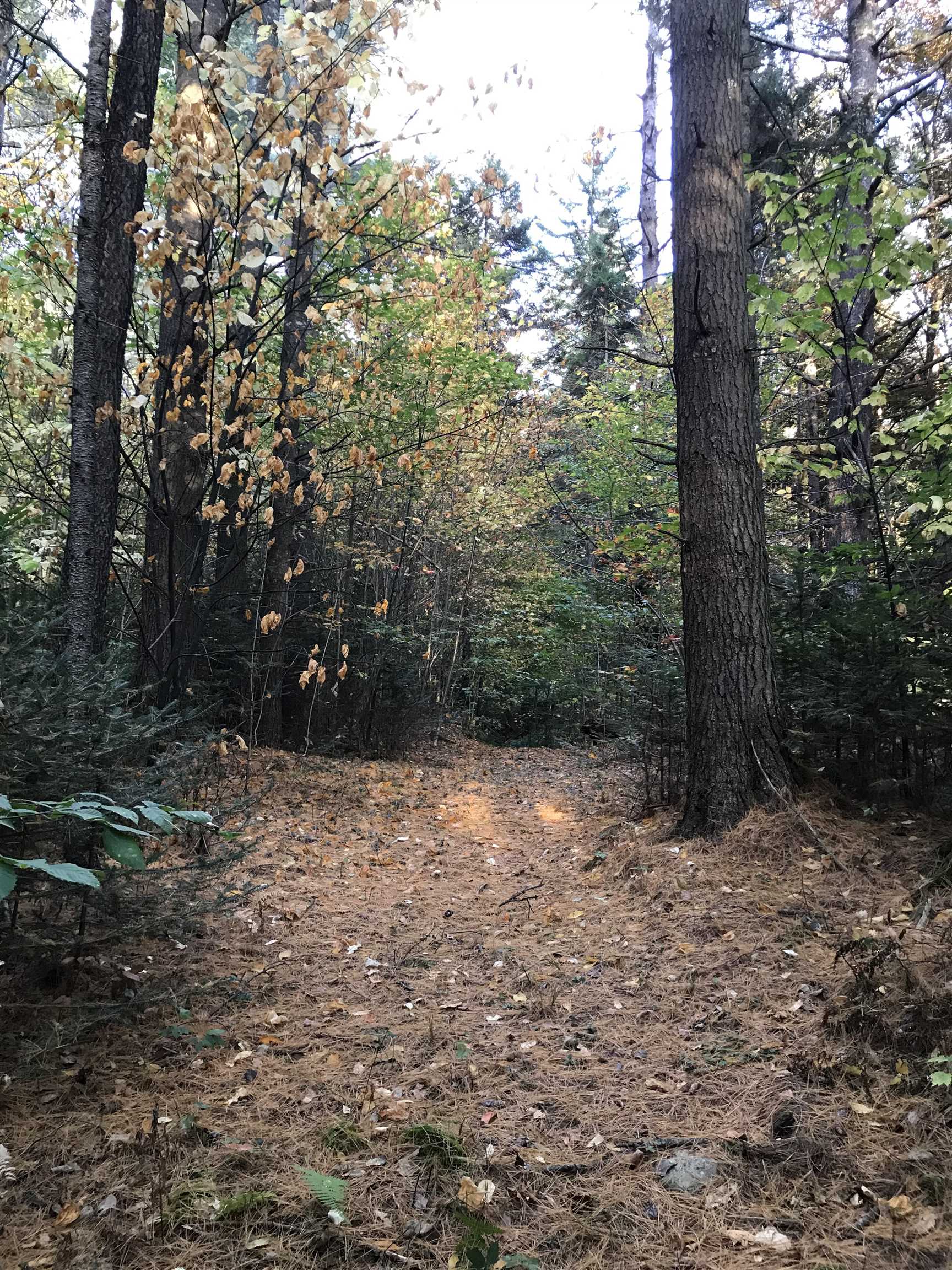 3003 East Warren Road Waitsfield, VT 05673 - Photo 8 of 33