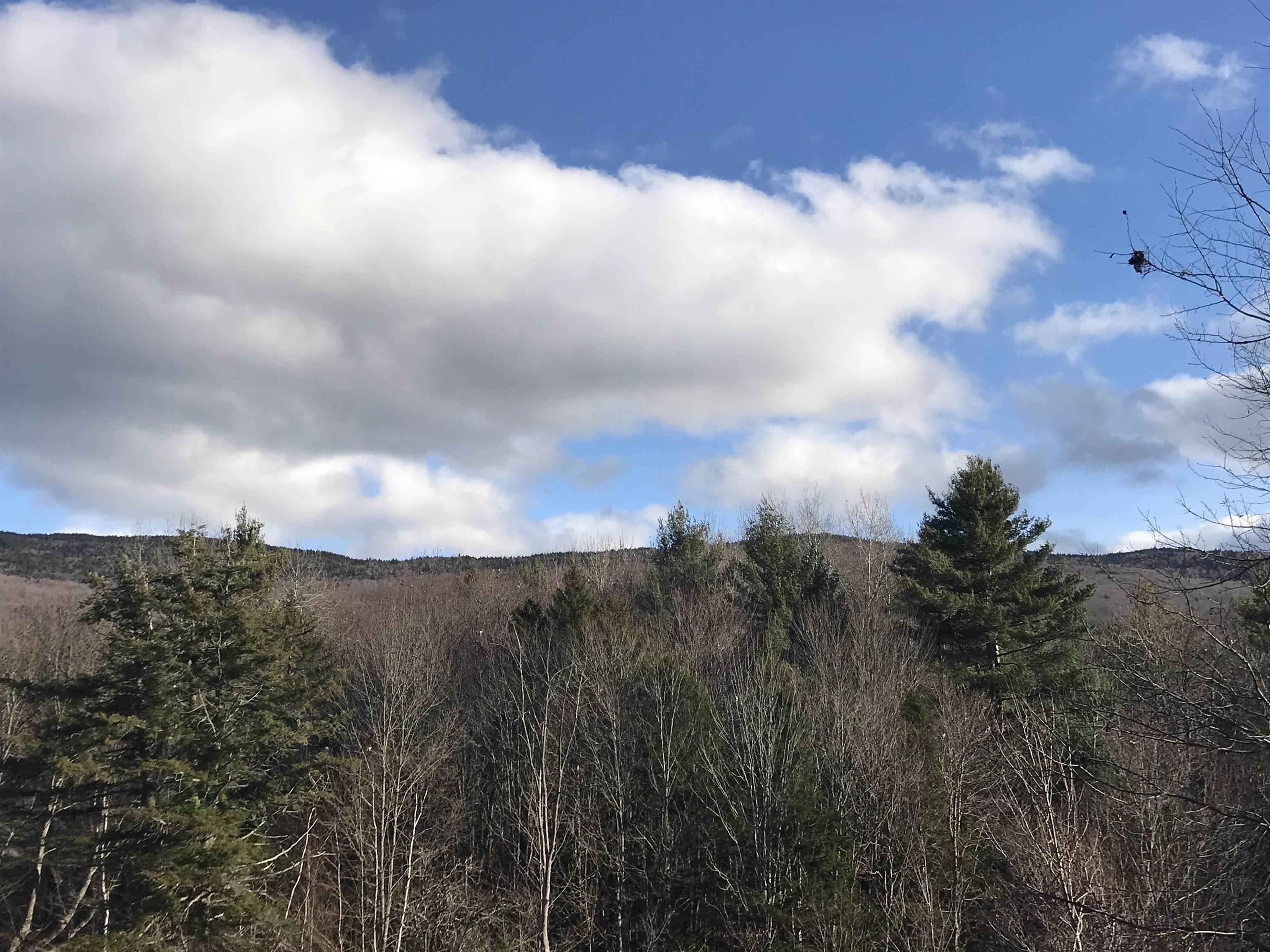 3003 East Warren Road Waitsfield, VT 05673 - Photo 10 of 33